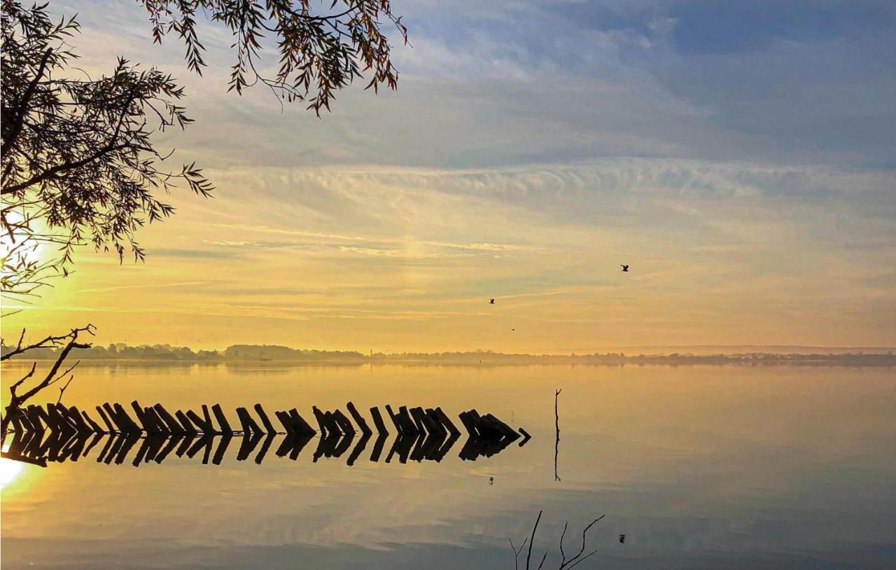 Beautiful Home In Lembruch-Duemmer See With Wifi ภายนอก รูปภาพ